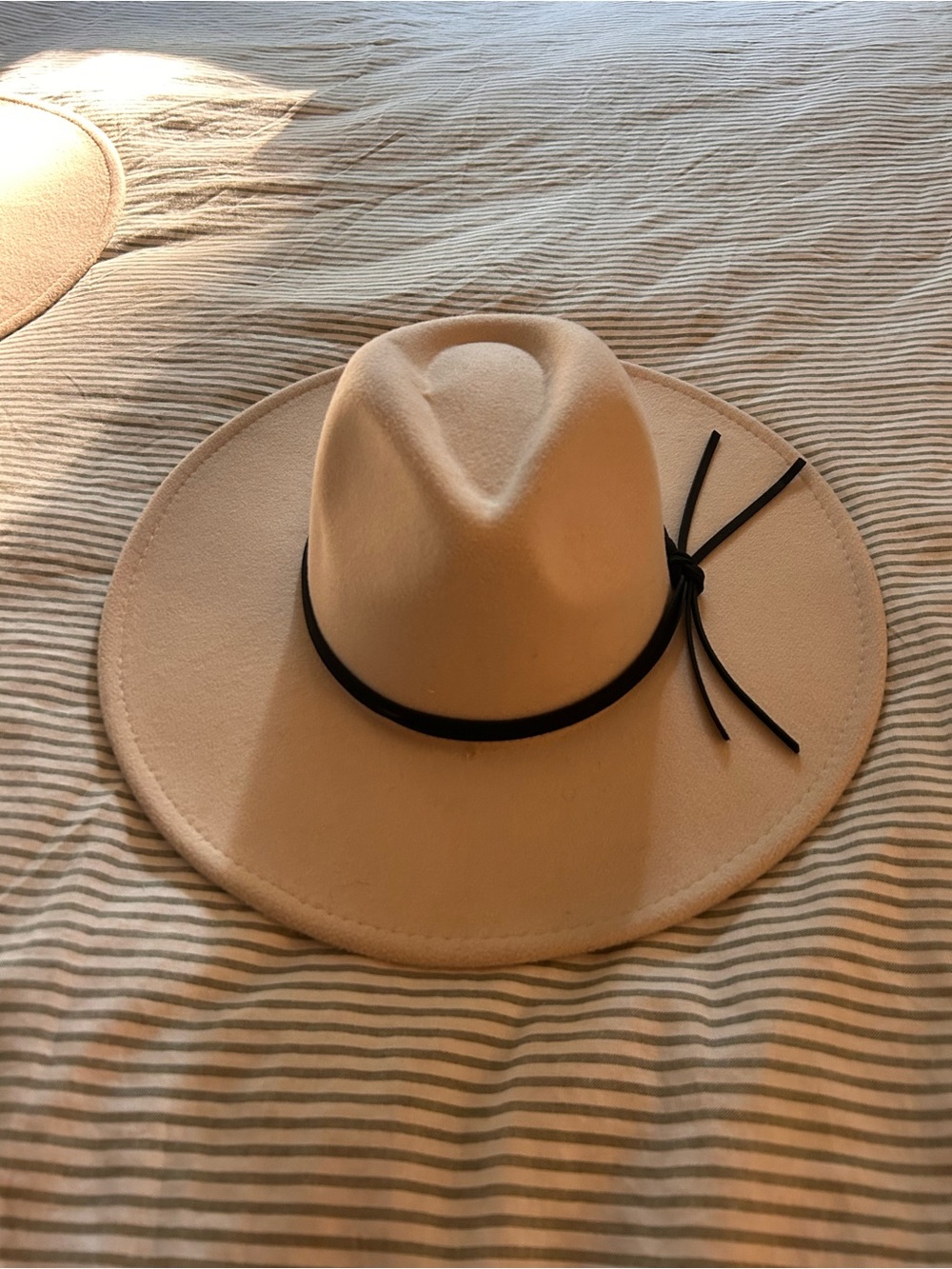 8 Other Reasons Beige Felt Fedora with Black Band